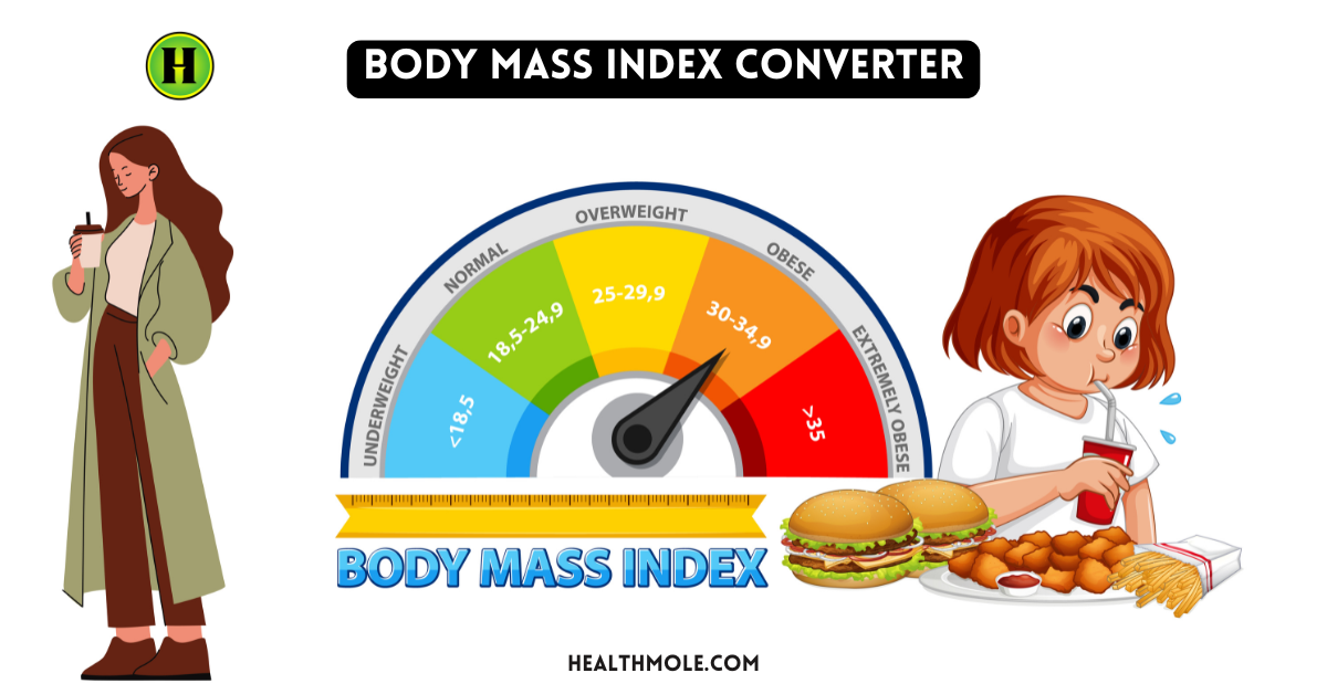 Body Mass Index converter