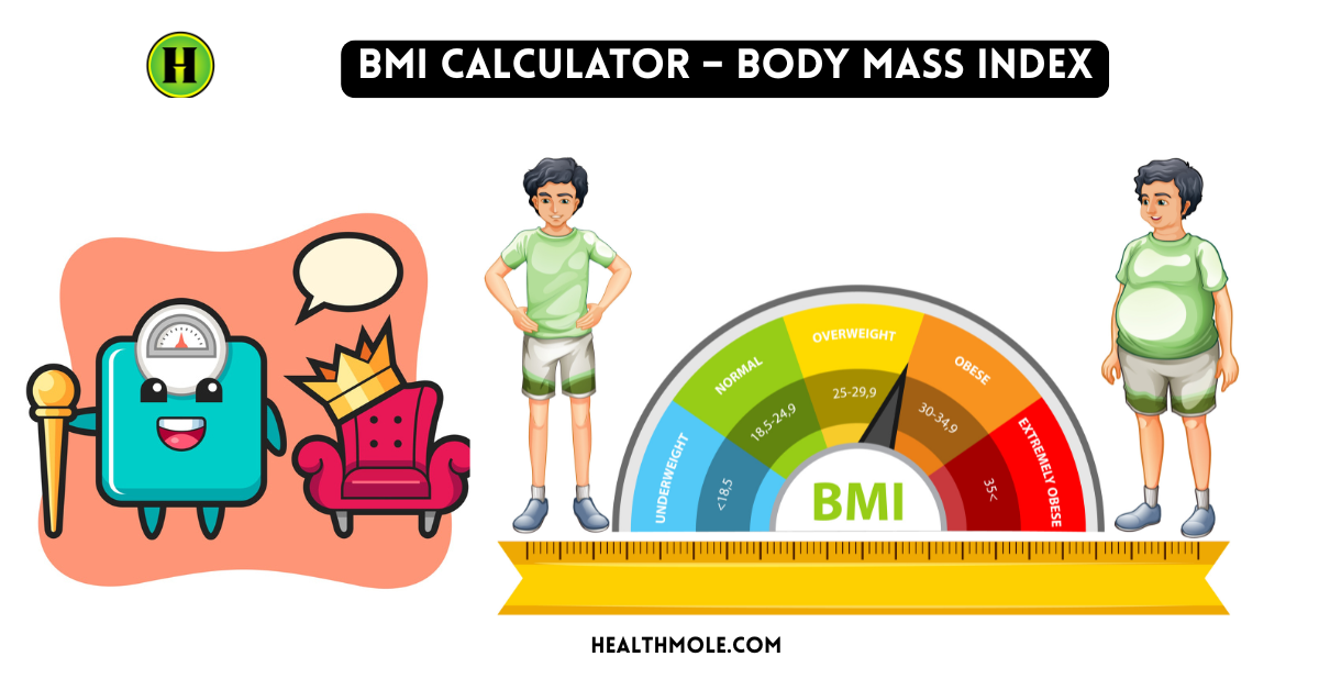 BMI Calculator – Body Mass Index